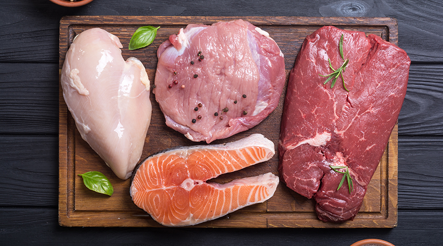Mengungkap Perbedaan Nyata Antara Protein Nabati dan Hewani